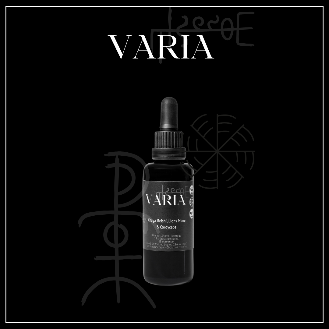 Sveppablanda Tinktúra m. alkóhóli (Chaga, Reishi, Lions Mane & Cordyceps) 50ml