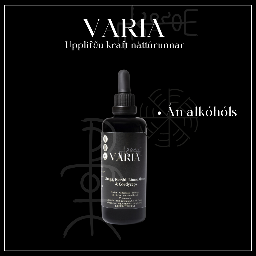 Sveppablanda tinktúra án alkóhóls (Chaga, Reishi, Lions Mane & Cordyceps) 100ml