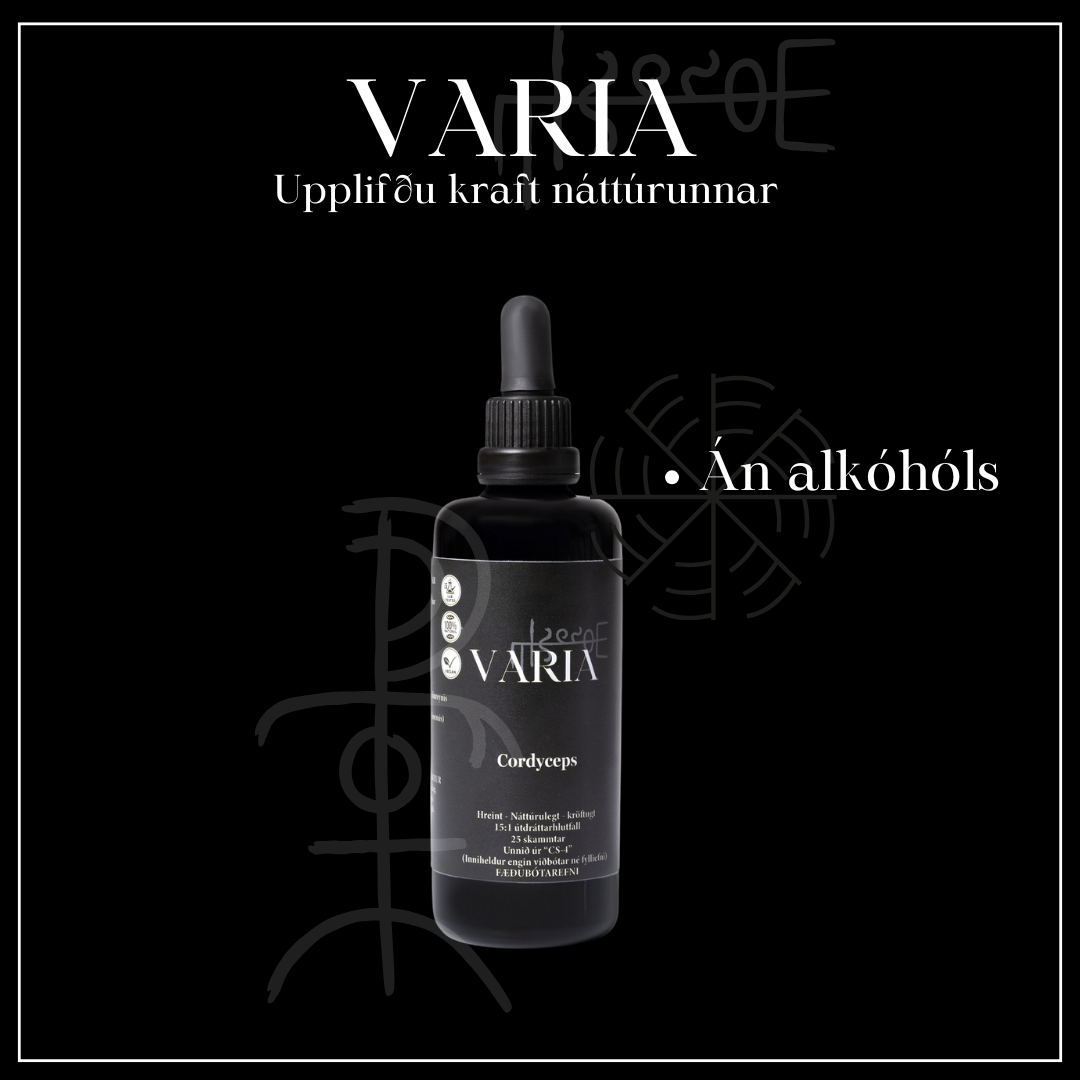 Cordyceps tinktúra án alkóhóls 100ml