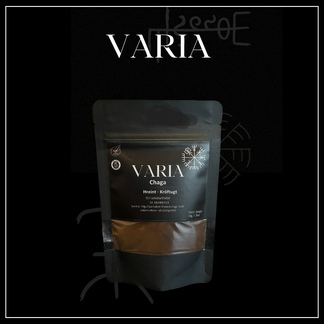 Chaga 50g