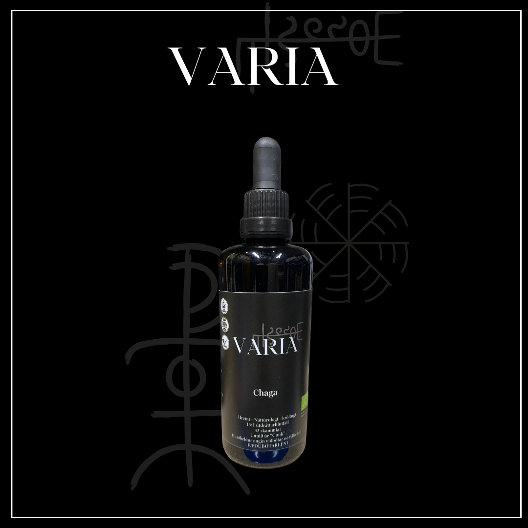 Chaga tinktúra m. alkóhóli 50ml
