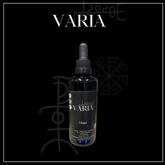 Chaga tinktúra m. alkóhóli 50ml
